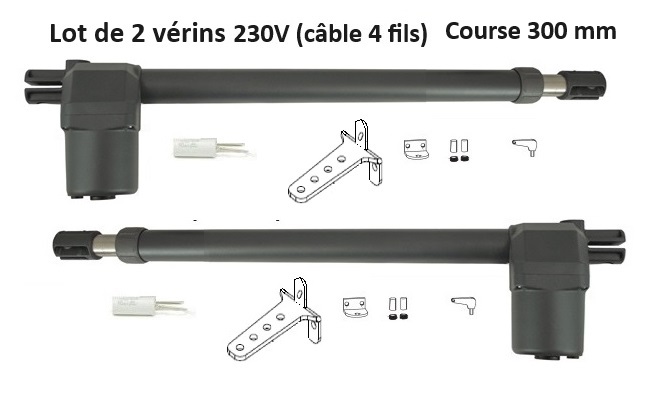 GGP300_droit+gauche Lot de 2 vérins 230V course de 300mm